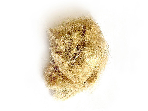 What is hemp? What are its effects?