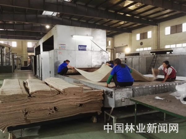 Yanli Quick Release Plate The green wind blowing from Zhouzhuang