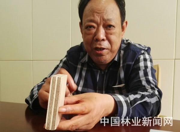 Yanli Quick Release Plate The green wind blowing from Zhouzhuang